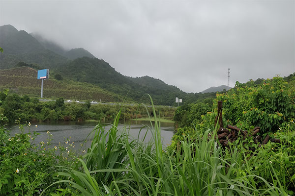 團建 賞雨.jpg